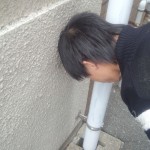 konseki06