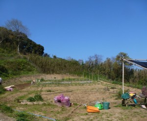 エコ農園です。 エコ農園です。