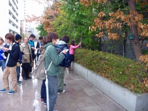 あいにくの外側からの観察…
