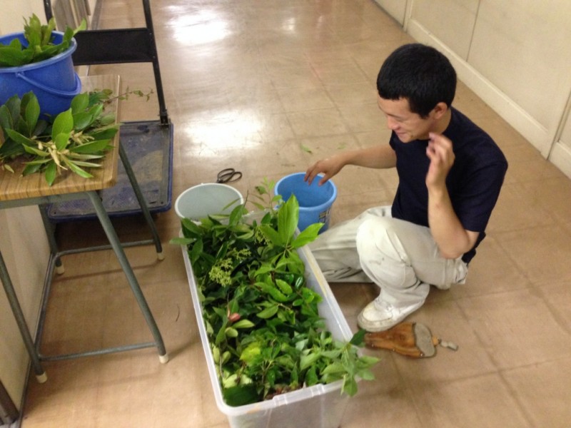 緑花部のみなさんが準備してくれました