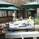 庭造りデモ（作業中）
