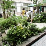庭造りデモ（完成間近）
