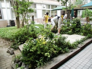 庭造りデモ（完成間近）