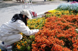 4月24日に管理に行きました
