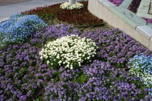 お花でお花を表現しました