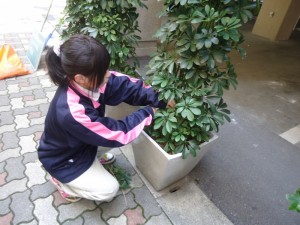 剪定中(神田)