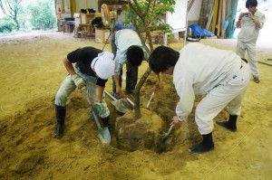 樹木の植え替え（移植）体験