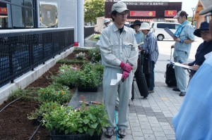 植栽作業の様子