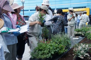 福岡タワーに市民の皆さんと花壇を作りました