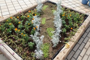 陸上競技場前の花壇