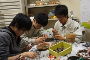 緑花部男子