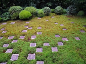 DSCN0070