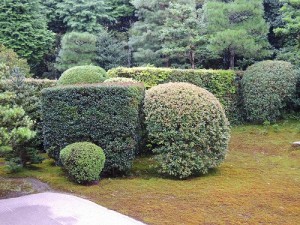 DSCN0115