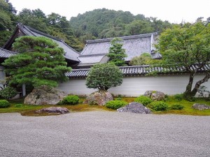 DSCN0157