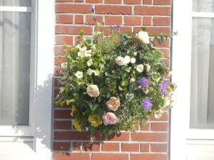 北村の作品