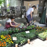文化祭の様子(お花屋さん)