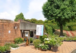 「あじさい展」の入口