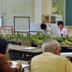 大石ゼミ学生による樹木解説