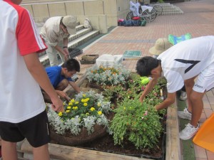 どんどん植えてきます