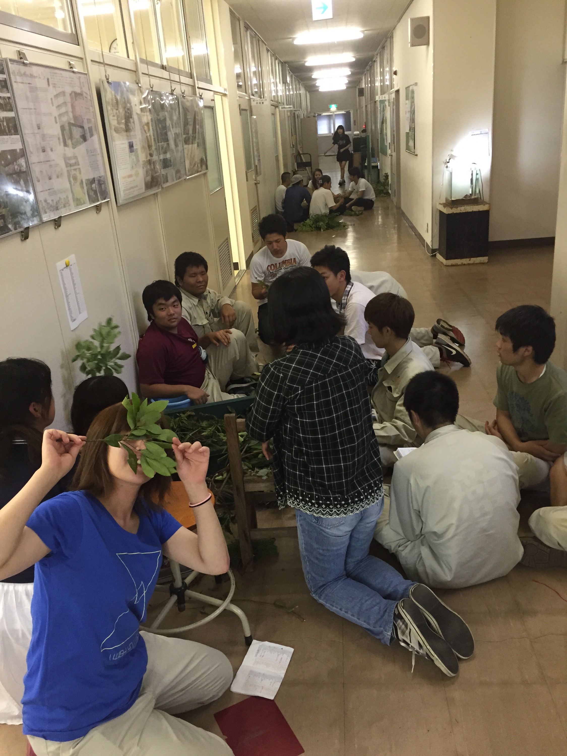 樹木鑑定試験に向けて勉強中 樹木鑑定試験に向けて勉強中