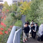 アクロス福岡 ステップガーデンは登れるようになっています