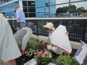模型を見せつつ植栽
