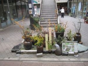 2013年 早春ガーデン