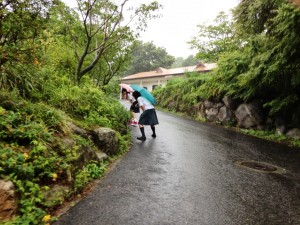生き物調査の様子