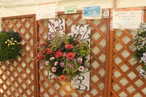 大賞「花のワルツ」（松原由季先生）