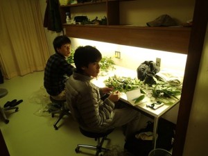自分たちの部屋でも 自分たちの部屋でも