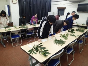 樹木鑑定試験 in 田野フィールド