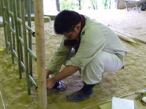 2級に挑戦中