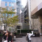 岩田屋前のエゴノキ