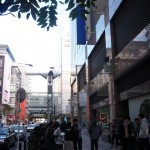 街路樹の観察