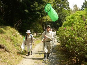 生き物調査の様子