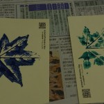 葉脈が良く見えています