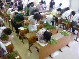 7月の樹木鑑定試験の様子