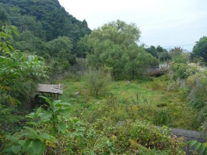 作業前(池全体)