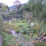 作業中の様子