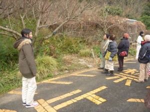 樹木も前もって勉強しました！