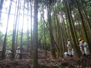 間伐実習の様子