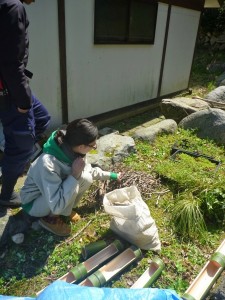 枝集め作業