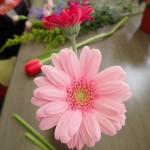 フワラーアレンジメントの花材