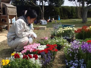 200ポットの植物