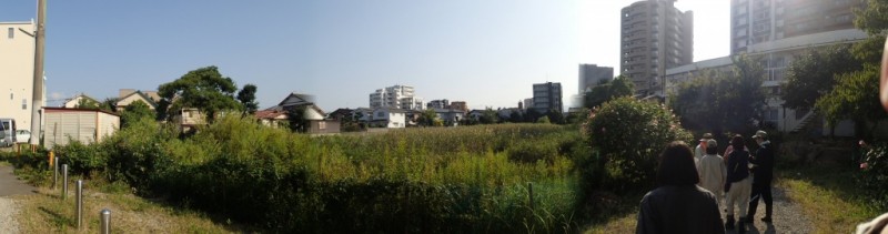 井尻上池湿地