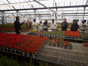 内山園芸にて