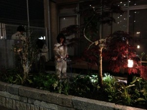 夜になっても頑張っています！