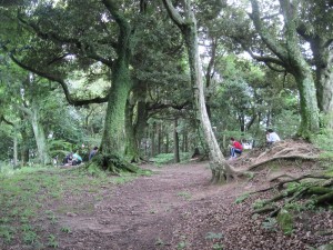 高祖山の頂上広場です