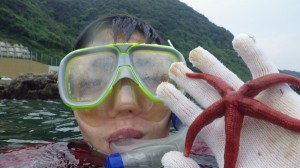 ヒトデはちょっとカタイです