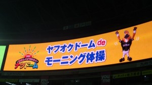 IMGP2783